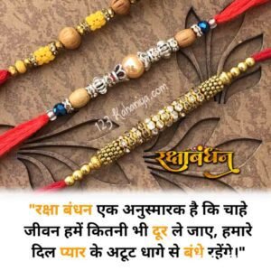 Rakhi day quotes in Hindi